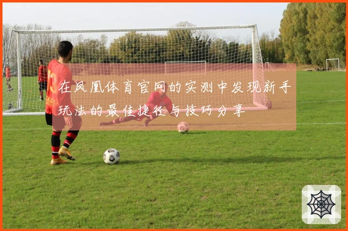在凤凰体育官网的实测中发现新手玩法的最佳捷径与技巧分享